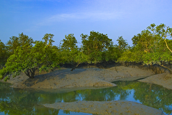 Sundarban Tour 2 Nights 3 Days