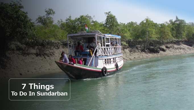 7 Things to do in Sundarban