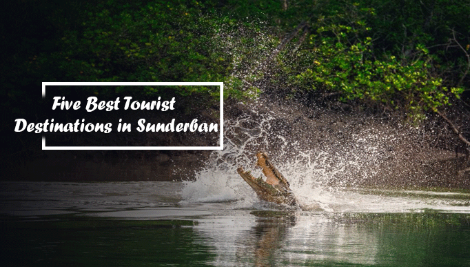 Five Best Tourist Destinations in Sunderban