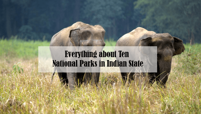 Ten National Parks in Indian State