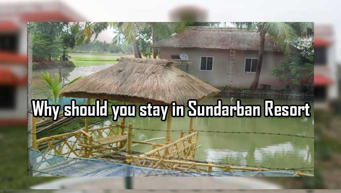 Sundarban Resort