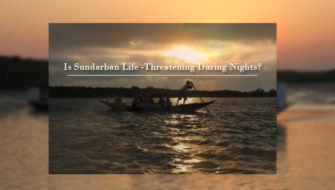 Is Sundarban Life -Threatening During Nights?