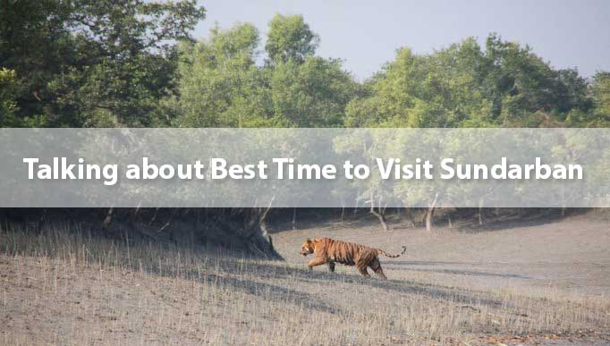 Talking about Best Time to Visit Sundarban