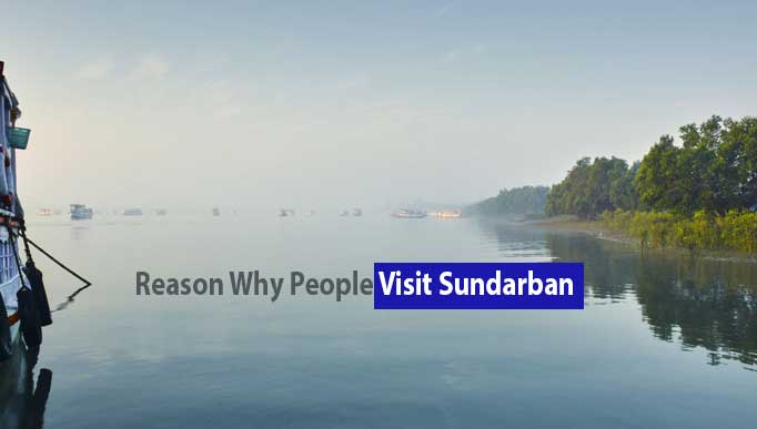 Reason Why People Visit Sundarban