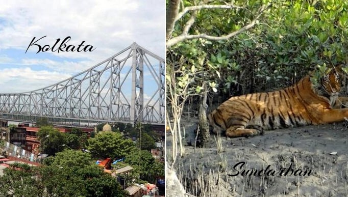 Trip from Kolkata to Sundarban