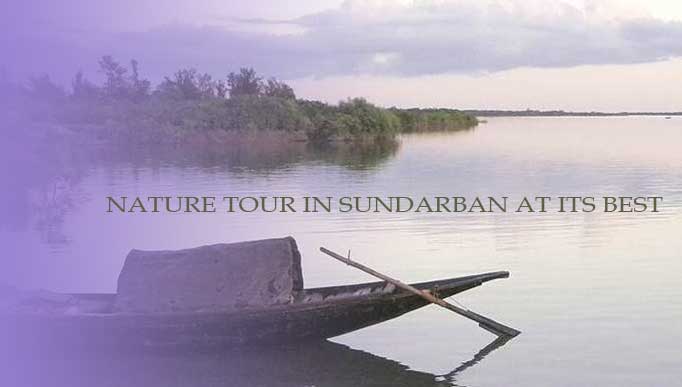 Nature Tour in Sundarban