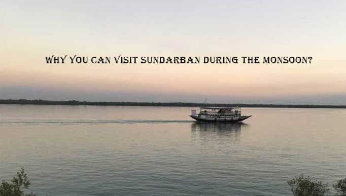 Visit Sundarban During the Monsoon