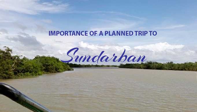 Importance of a Planned Trip to Sundarban
