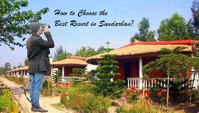 Resort in Sundarban
