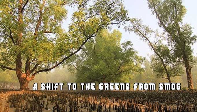 A Shift to the Greens from Smog