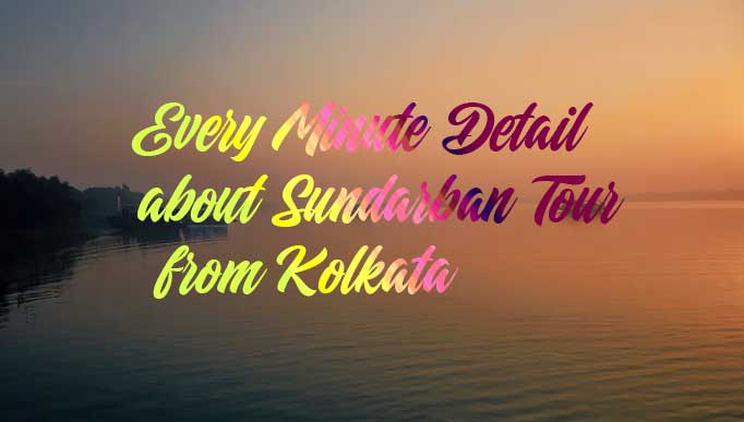 Every Minute Detail about Sundarban Tour from Kolkata