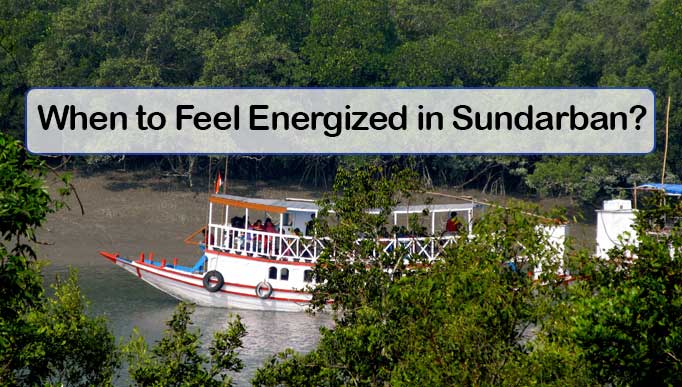 Sundarban