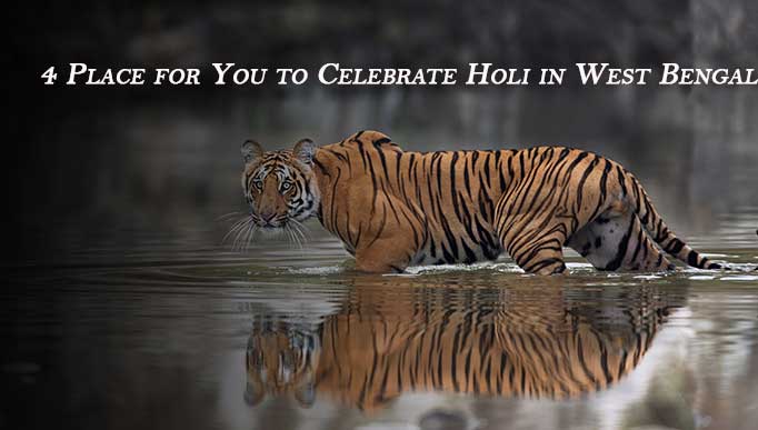 4 Place for You to Celebrate Holi in West Bengal