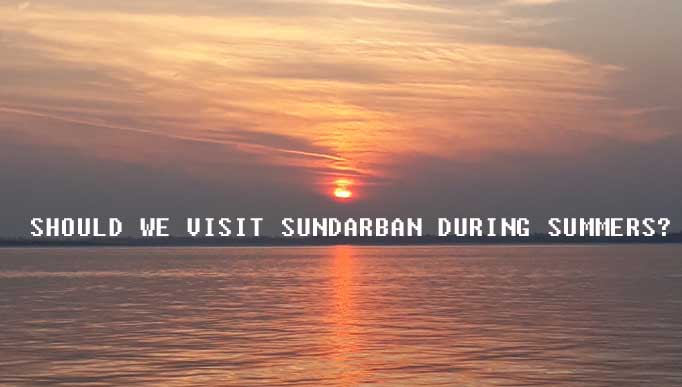 Should We Visit Sundarban During Summers?