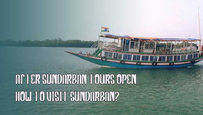 After Sundarban tours Open- How to visit Sundarban?
