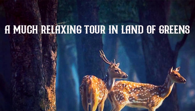 A Much Relaxing Tour in Land of Greens