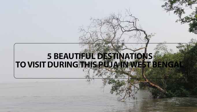 5 Beautiful Destinations to Visit During this Puja in West Bengal