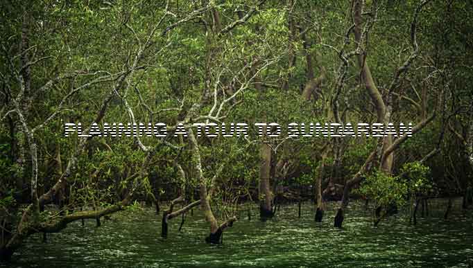 Planning a tour to Sundarban