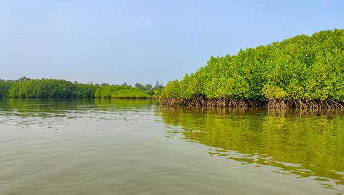 sundarbantour