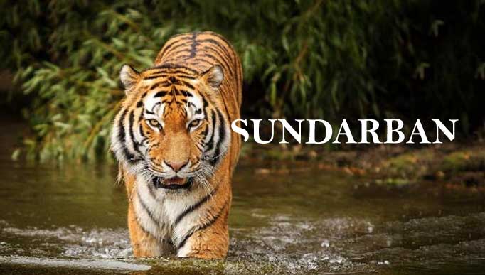 sundarbantour