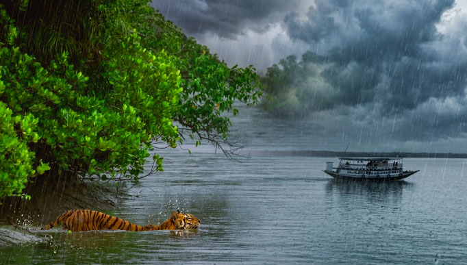 Sundarban Tour