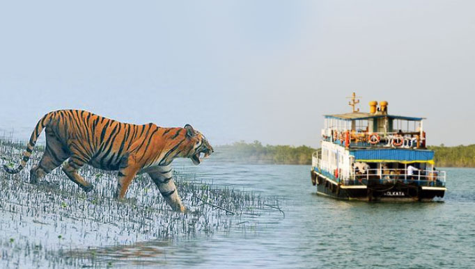 Sundarban Tour